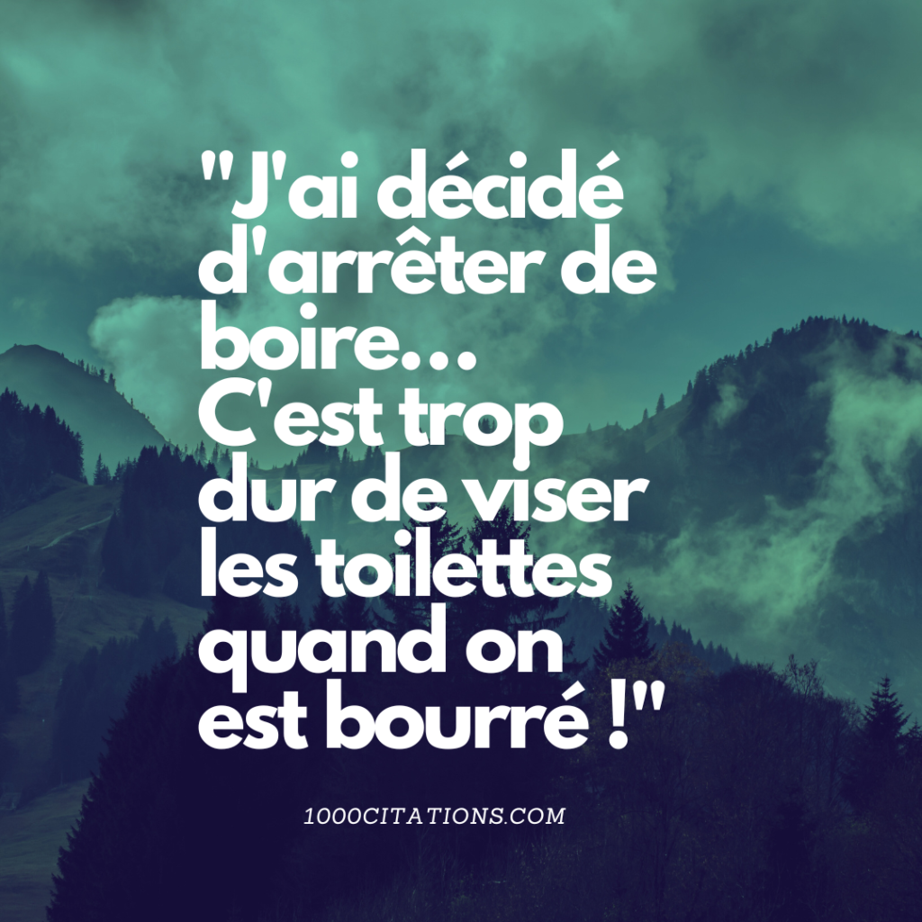 17 Citations drôles pour vous aider à égayer votre journée 1 Citation Citations Bien être