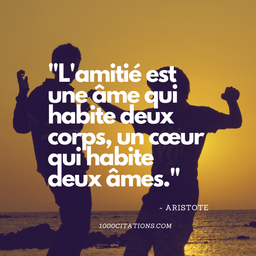 52 Citations sur l'amitié pour éclairer votre âme 2 Citation Citations Amour