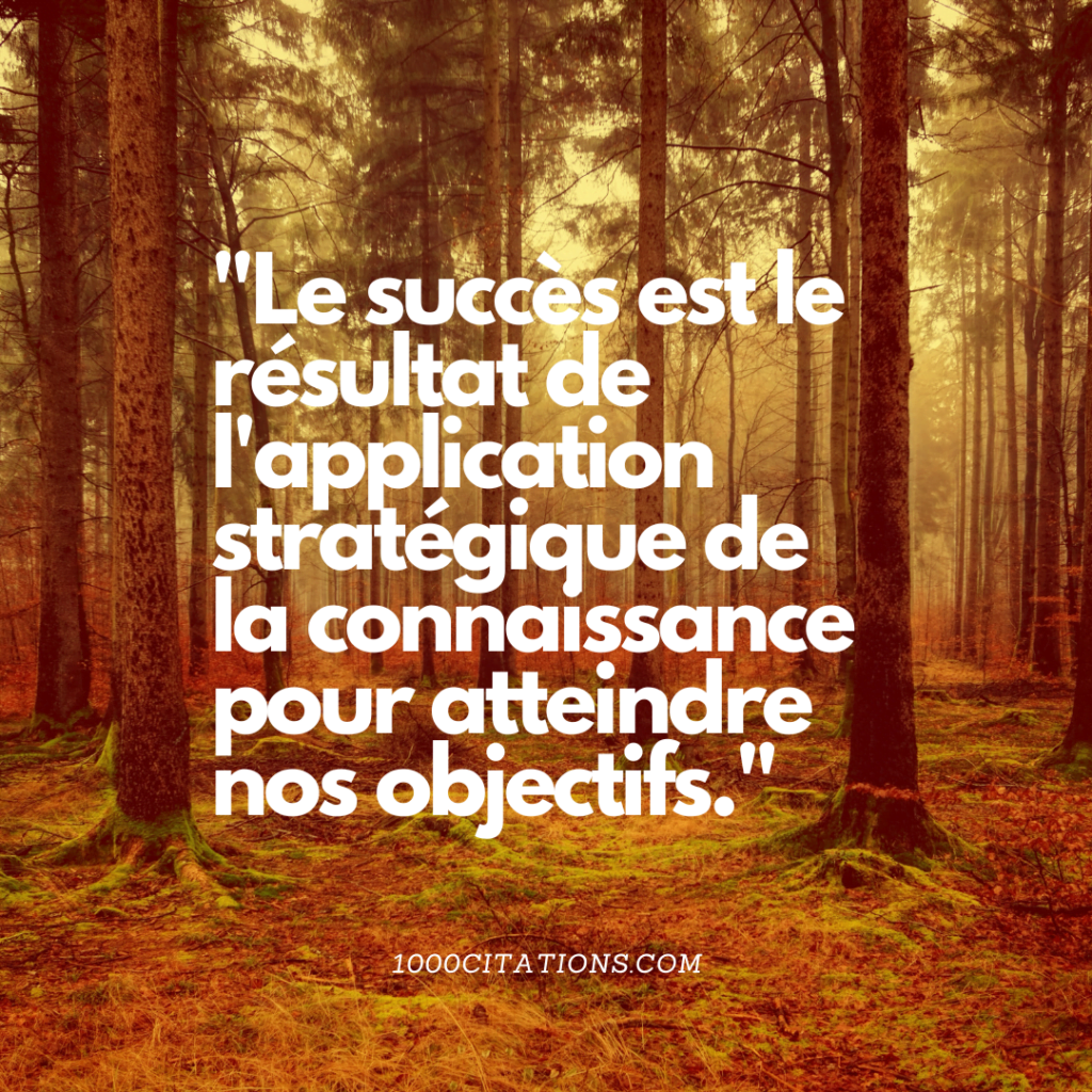 Les bienfaits de la connaissance : 100 citations inspirantes pour enrichir votre esprit 4 Citation Citations Connaissance