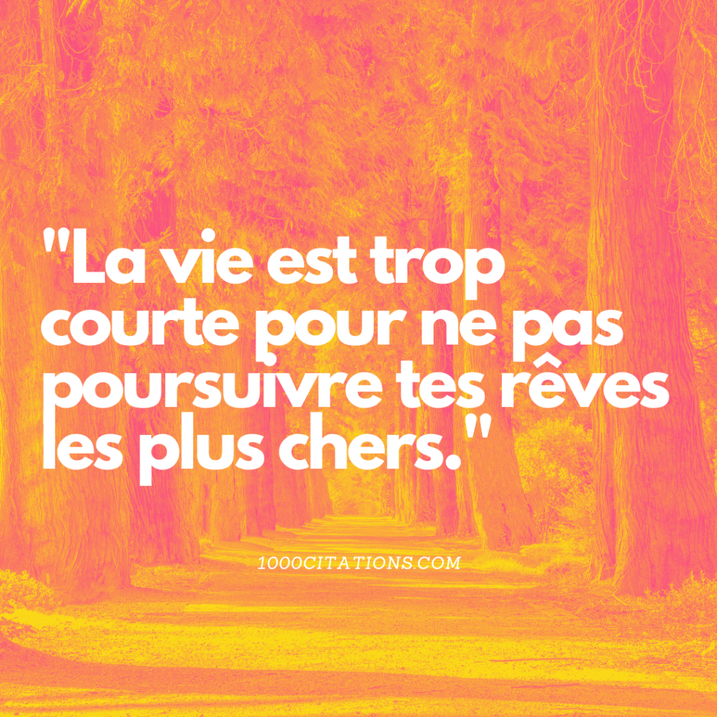 Les 350 Citations les Plus Grandioses de Dhar Mann pour t'Inspirer à Réussir 8 La vie est trop courte pour ne pas poursuivre tes rêves les plus chers.