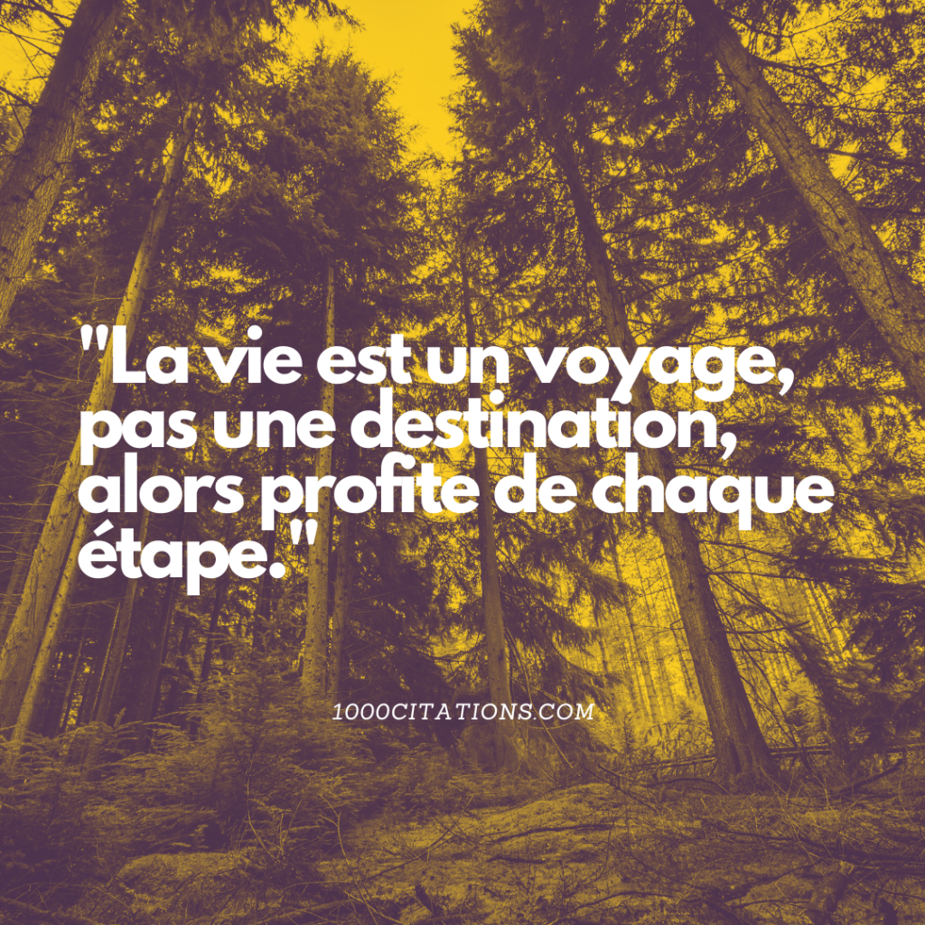 Les 350 Citations les Plus Grandioses de Dhar Mann pour t'Inspirer à Réussir 5 La vie est un voyage, pas une destination, alors profite de chaque étape.