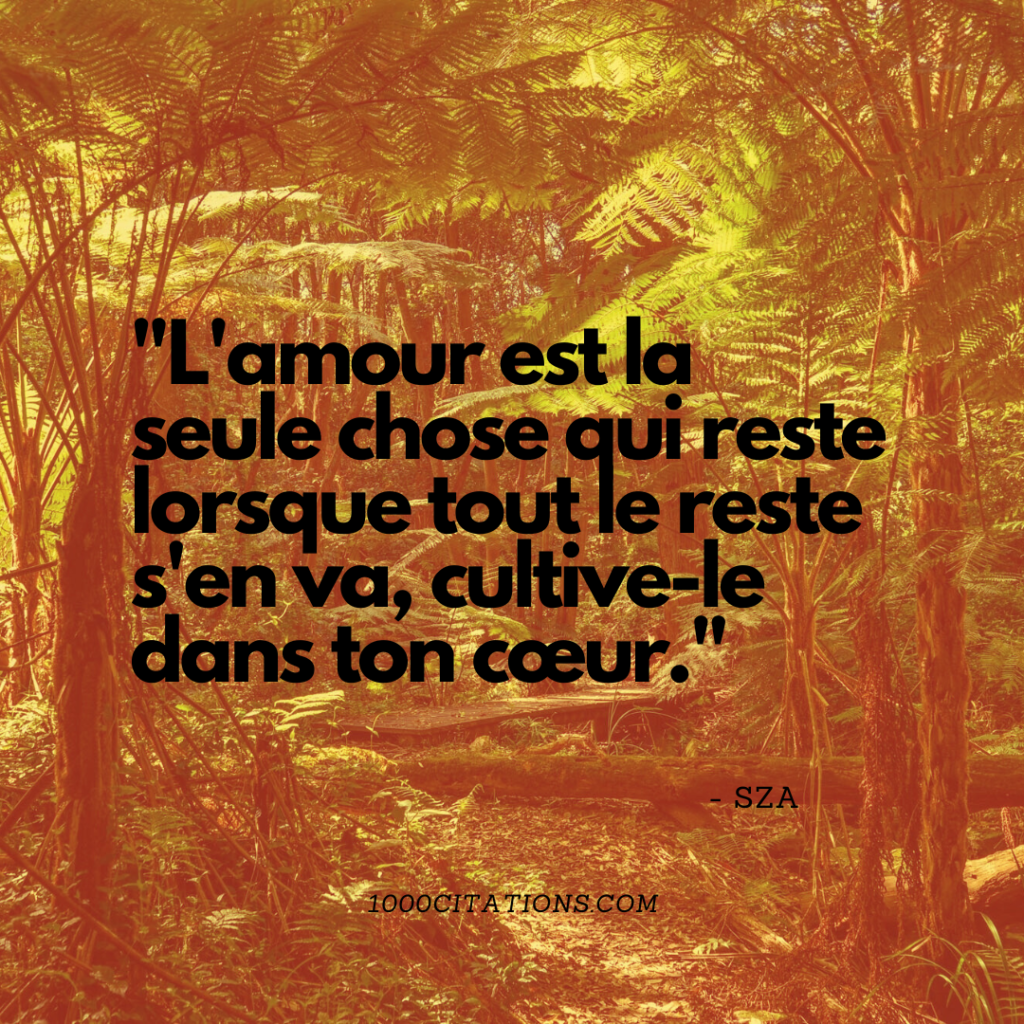 Les 200 meilleures citations et paroles de SZA pour booster tes publications Instagram et t'inspirer dans ton quotidien 6 L'amour est la seule chose qui reste lorsque tout le reste s'en va, cultive-le dans ton cœur.