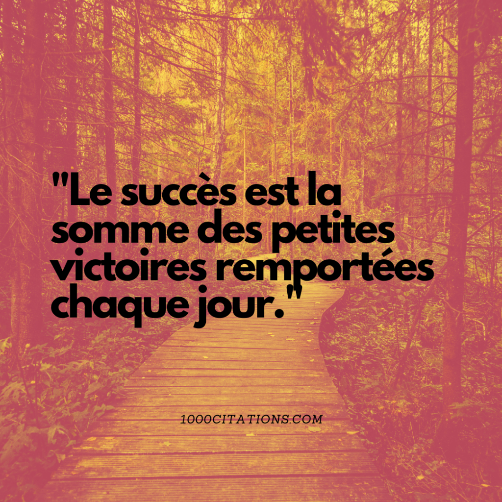 Les 350 Citations les Plus Grandioses de Dhar Mann pour t'Inspirer à Réussir 3 Le succès est la somme des petites victoires remportées chaque jour.