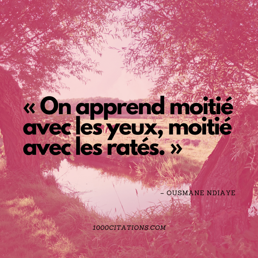 Métamorphoses Synaptiques : 150 Citations sur l’Art d’Apprendre 1 « On apprend moitié avec les yeux, moitié avec les ratés. » – Ousmane Ndiaye